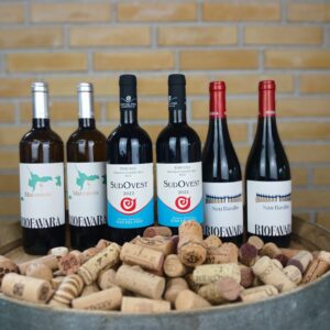 Naturvins-smagskasse: 6 flasker verdensklasse naturvine