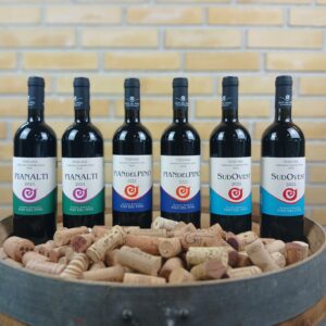 Toscansk naturvins-smagskasse 6 flasker, økologiske naturvine Italien