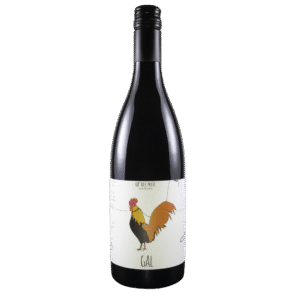 Barbera d'Asti DOCG "GAL" 2022 - Ca del Prete
