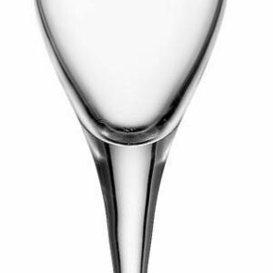 Champagneglas 17 Cl Stölzle 6stk