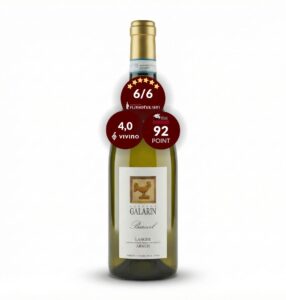 Galarin Langhe Arneis DOC "Barivel" Økologisk, Piemonte Italien, 2024
