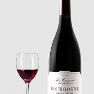 Domaine Méo-Camuzet Rouge Cote D´Or 2020