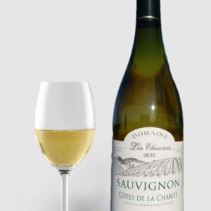 Jean Jacques Bardin Côtes de la Charite Sauvignon 2022