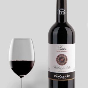 Pio Cesare Fides Barbera Dalba 2020 Piemonte