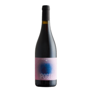 Ipogeo Igt Toscana 2020 - Fattoria Castellina