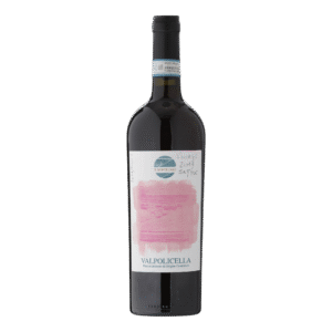 Valpolicella DOC 2019 - Il Monte Caro