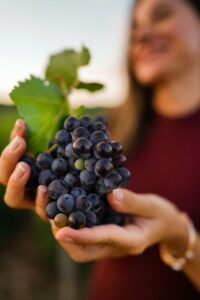 Pinot Noir