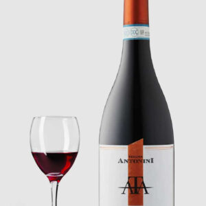 Antonini Montepulciano d`Abruzzo 2021