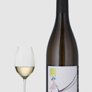 Domaine Raphael Chopin Beaujolais Villages Lantignie Blanc Theia ÃKO 2023