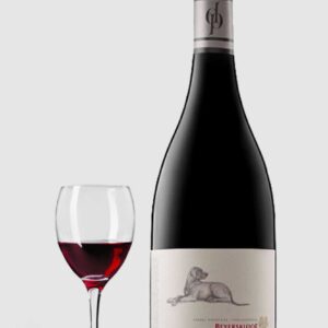 Beyerskloof Diesel Pinotage 2021