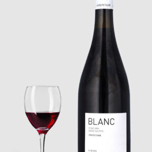 Blanc VI Naturel Negre ÃKO Vins Petxina 2022