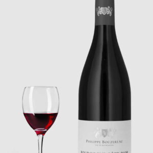 Domaine Philippe Bouzereau Bourgogne Cote Dor Rouge 2023