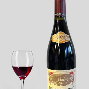 Bourgogne Pinot Noir 2022 Domaine Charles Noëllat