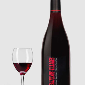 Christophe Pacalet Beaujolais Villages 2023