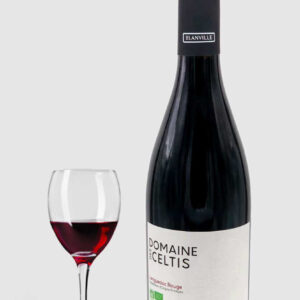 Domaine Des Celtis Syrah Grenache noir 2022