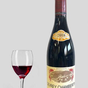 Gevrey-Chambertin En Pallud 2018 Maison Charles Noëllat