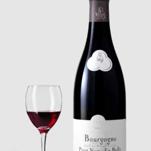 Domaine Rapet Père et Fils Bourgogne Rouge En Bully 2023