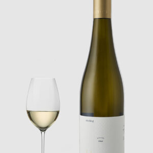 J.J Berizzi Riesling Trocken 2024