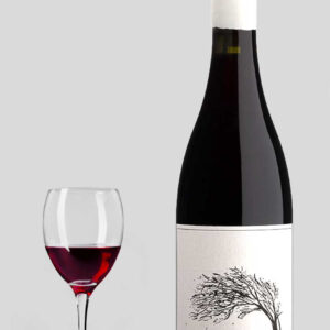 Savage The Girl Next Door Syrah 2024