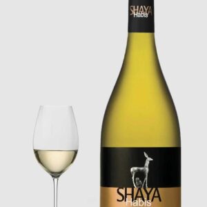 Shaya `Habis` 2019