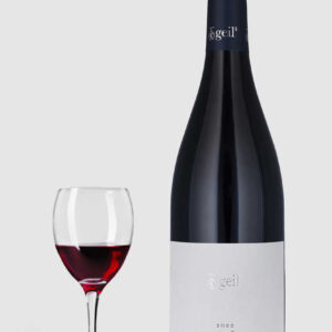 Frühwerk Spätburgunder Weingut Geils 2022