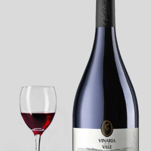 Vinaria din Vale Malbec 2022