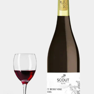 Ancient bush vine Zinfandel Mokelumne River Scout 2023