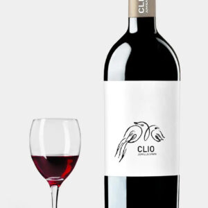 Bodegas El Nido 'Clio' 2022 Magnum