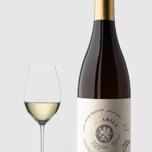Conti Morini Mirabile Pinot Grigio 2024