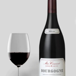 Cote D´or Cuvee Hemisphere Nord, Domaine Méo-Camuzet 2021