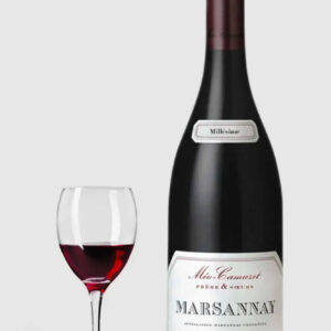 Domaine Méo-Camuzet Marsannay 2022