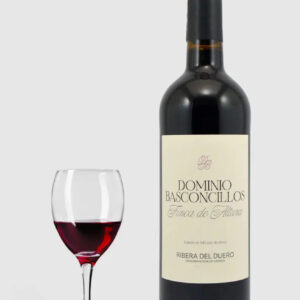 Dominio Basconcillos Vina Magna Finca de Altura 2023