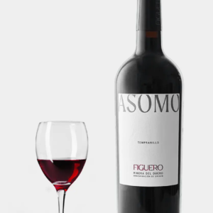 Figuero ASOMO 2022