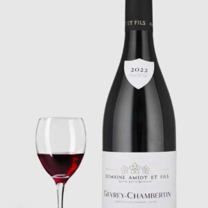 Gevrey Chambertin Léon Amiot 2021