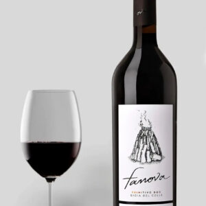 Terrecarsiche 1939 Fanova Primitivo 2020