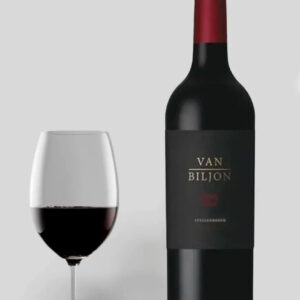 Van Biljon Cinq 2016