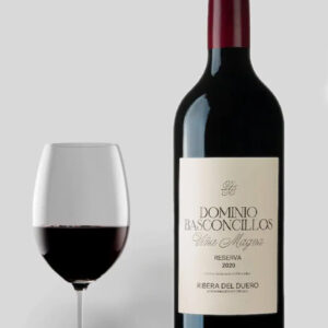 Vina Magna Dominio Basconcillos Reserva 2020