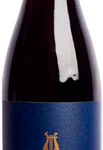 Massaro Norma Valpolicella Ripasso Classico Superiore 2023