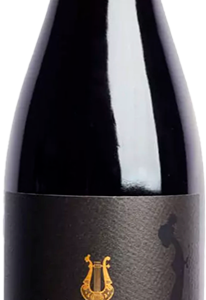 Massaro Norma, Amarone Della Valpolicella Classico 2020