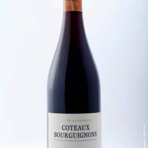 Les Vignerons de Mancey Côteaux Bourguignons Rouge 2021
