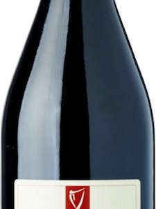 Viviani Amarone Della Valpolicella Classico 2019